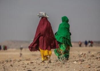 900 milyon yoksul iklim krizinin etkisi altında