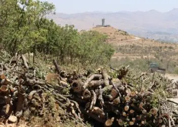 Şirnex’taki eko-kırım Meclis gündeminde
