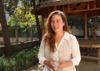 Genç: Meclis’e birincil sorumluluk yükleniyor, rolünü oynamalı