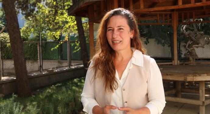 Genç: Meclis’e birincil sorumluluk yükleniyor, rolünü oynamalı