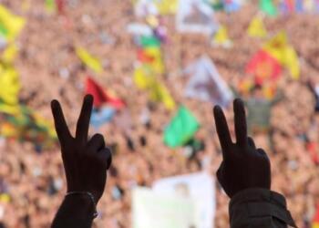 Demokratik entegrasyon nedir?