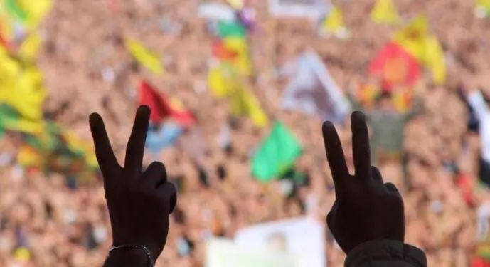 Demokratik entegrasyon nedir?