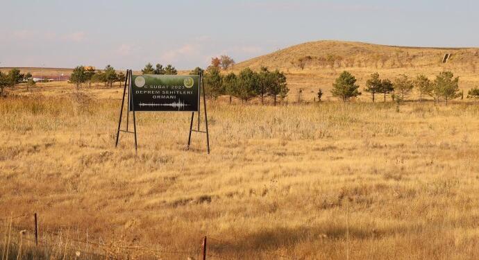 İktidarın ağaçsız ormanları