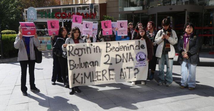 ‘Rojin dosyasının cinsel saldırı olarak genişletilmemesi yargı pratiğinin sonucudur’