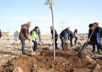 Sökülen fidanların yerine yeni fidanlar dikildi