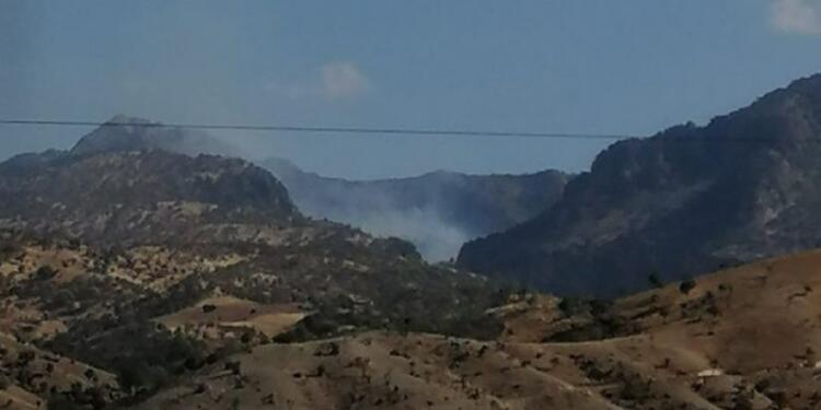 Cûdî Dağı’ndaki yangın söndürüldü