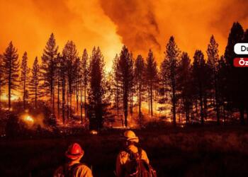 Küresel ısınma ormanları yutuyor