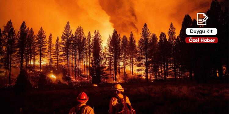 Küresel ısınma ormanları yutuyor