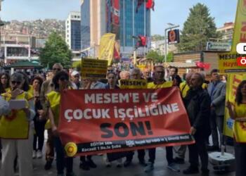 Eğitimde yeni model: İşçilik ve eve hapsetme