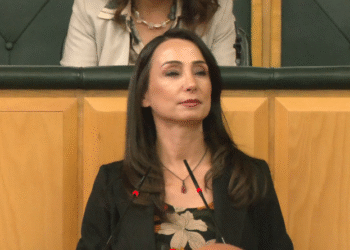 Hatimoğulları: Entegrasyon için demokratik yasalar yapmak lazım