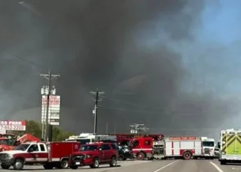 ABD’de uçak düştü: 2 kişi yaşamını yitirdi