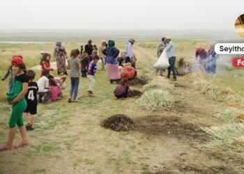 Farklılık içinde özgür birliktelik: Demokratik Komünler