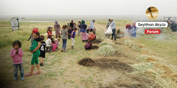 Farklılık içinde özgür birliktelik: Demokratik Komünler