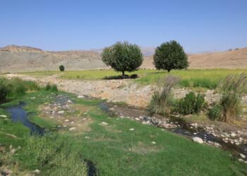 18 dönüm tarlasını komüne bağışladı