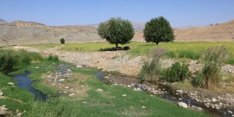 18 dönüm tarlasını komüne bağışladı