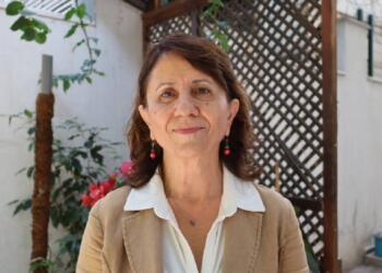 HDP Eş Genel Başkanı Özcan: Çekilme kararı demokratik cumhuriyet için tarihi bir fırsat