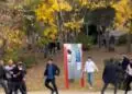 Hacettepe Üniversitesi’nde ırkçı saldırı: Bir öğrenci ağır yaralandı