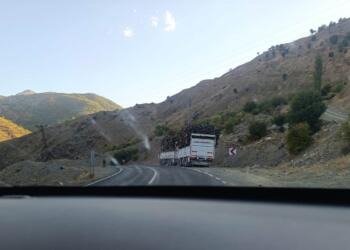 Dorşîn’de korucular ağaç kıyımını sürdürüyor