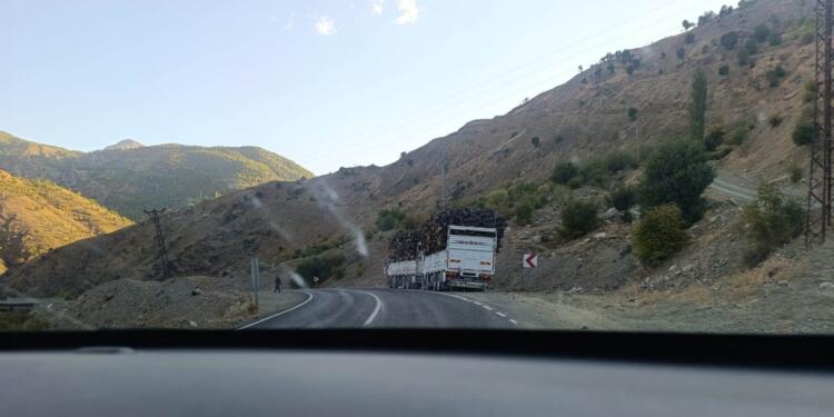 Dorşîn’de korucular ağaç kıyımını sürdürüyor