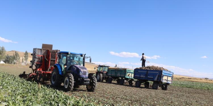 Şeker pancarı hasadı: Ektiğimiz ürün masrafını kurtarmıyor