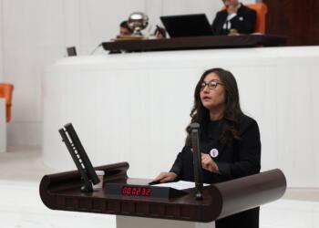 DEM Parti’den 10 Ekim önergesi: Kamu görevlilerinin sorumluluğu ortaya çıkarılsın