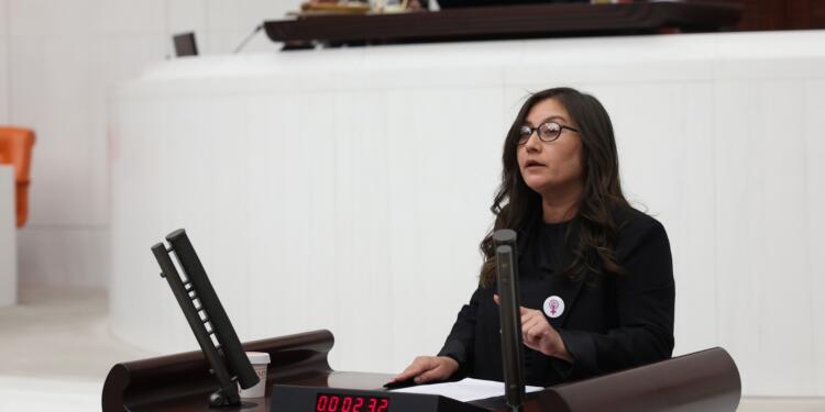 DEM Parti’den 10 Ekim önergesi: Kamu görevlilerinin sorumluluğu ortaya çıkarılsın