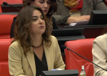 Koçyiğit: Öcalan’ın çağrısı Ortadoğu’da barışın zeminidir