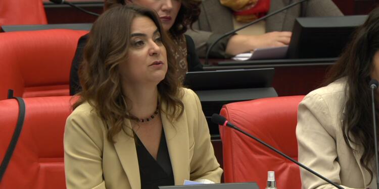 Koçyiğit: Öcalan’ın çağrısı Ortadoğu’da barışın zeminidir