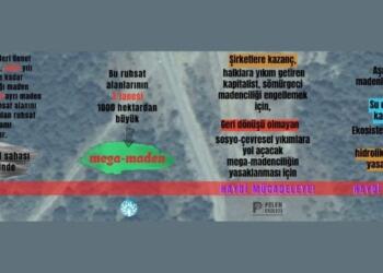 İki kentte 34 bin futbol sahası büyüklüğündeki alana maden ruhsatı verildi