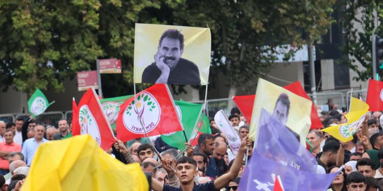 DEM Partili Oduncu: Êlih mitinginde temel talep özgürlüktü