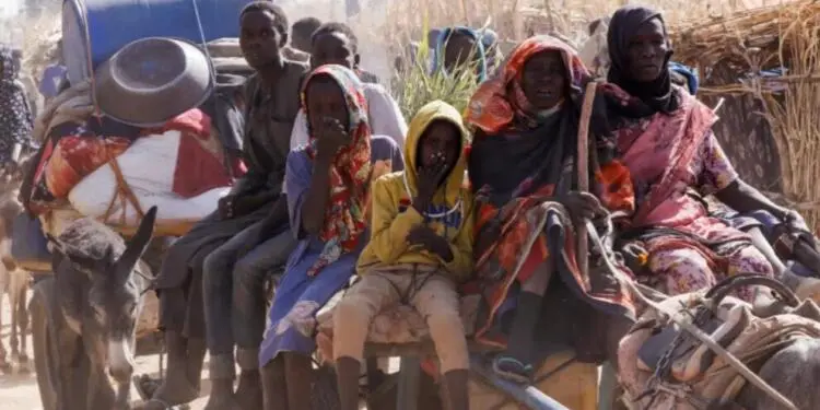 Faşer için acil koruma çağrısı: İnsani felaket derinleşiyor