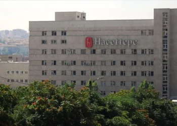 27 gençlik oluşumundan ortak bildiri: Üniversiteme dokunma
