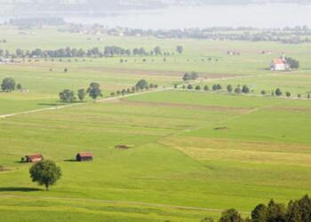 Önce siyanür şimdi ‘Nadir element’: Eskişehir’de eko-kırım sürüyor