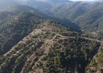 Bakanlık Cengiz Holding’e 57 bin ağaç kesmesi için onay verdi