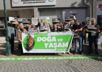 Geyik avı sürüyor: Saldırılar durmalı