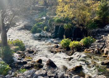 Munzur Gözeleri kazandı