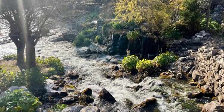 Munzur Gözeleri kazandı