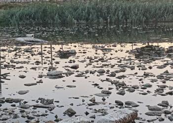 ‘Güneşe akan nehir’ Karasu, karanlığa sürükleniyor