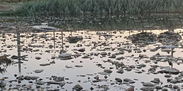 ‘Güneşe akan nehir’ Karasu, karanlığa sürükleniyor