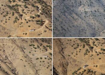 Dorşîn’de de talan: Ağaç kıyımı görüntülendi