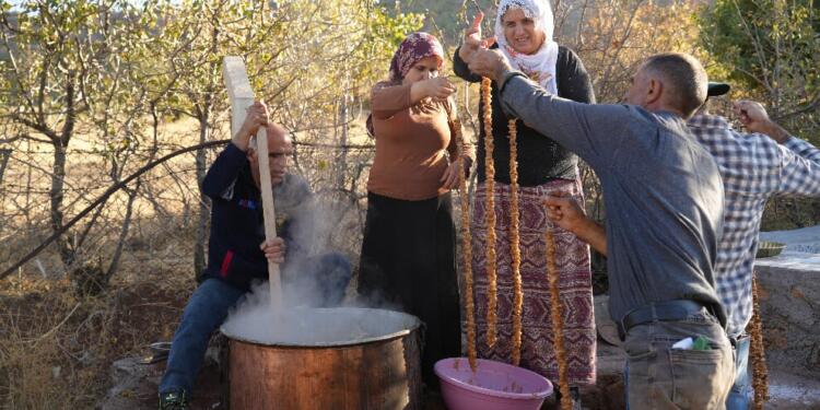 Kuraklık bağları da vurdu: Üzüm dalında karardı