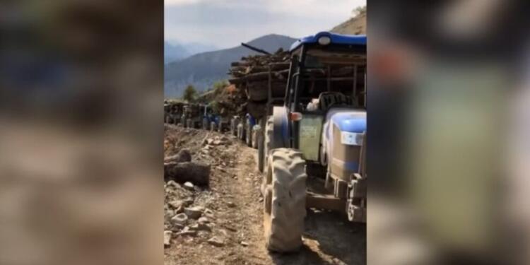 CPT üyesi: Zap ve Avaşîn’de kesilen ağaçlar Türkiye’ye taşınıyor