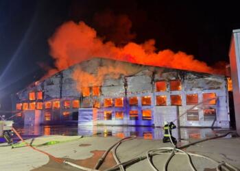 Polonya’da çiftlikte yangın: 100 binden fazla tavuk öldü