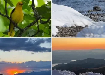 Fotolarla Dersim’in ekolojik güzellikleri