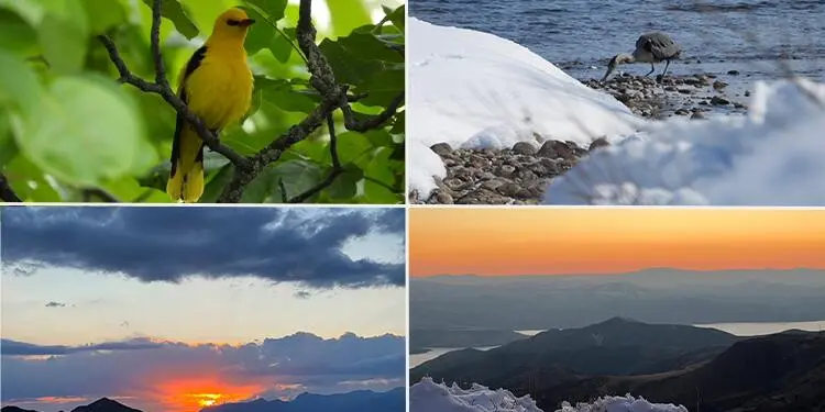 Fotolarla Dersim’in ekolojik güzellikleri