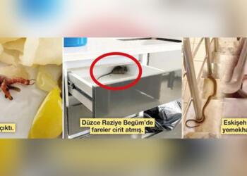 KYK yemekhaneleri: Tırtıl, saç, kurt, böcek, iğne ve küf tespit edildi