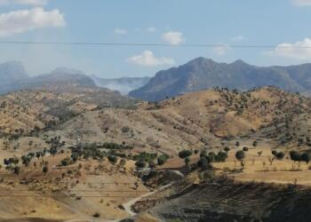 Cûdî’de ormanlık alanda yangın