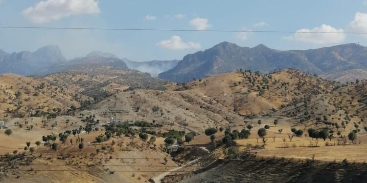 Cûdî’de ormanlık alanda yangın