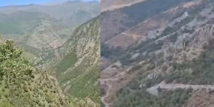 Kespîyaniş ormanları 3 ayda yok edildi