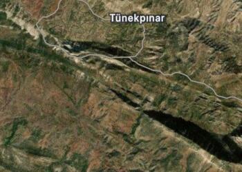 Gabar’da ağaç kıyımı: Asker yurttaşın çektiği görüntüleri sildi